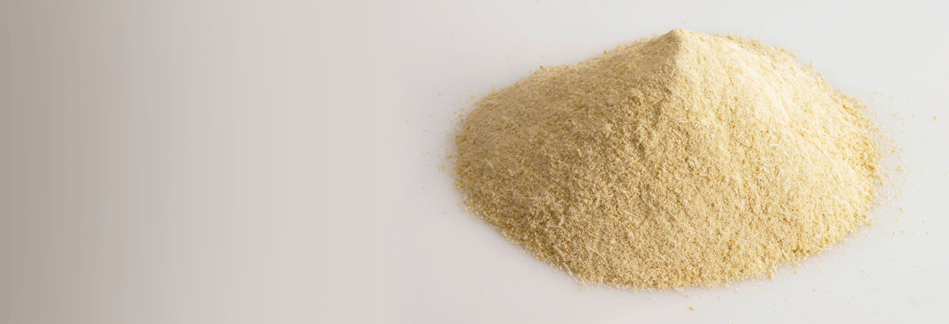 Cheese Powder Ingredients & Products Global