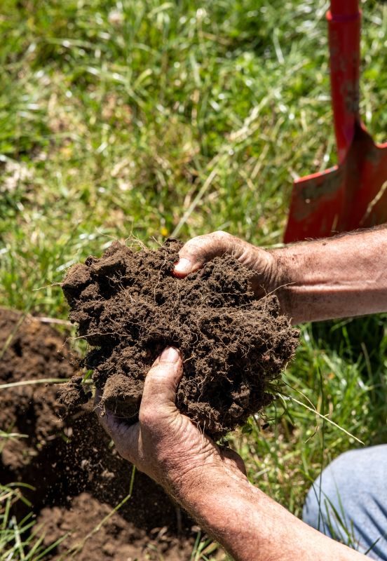soil-hands