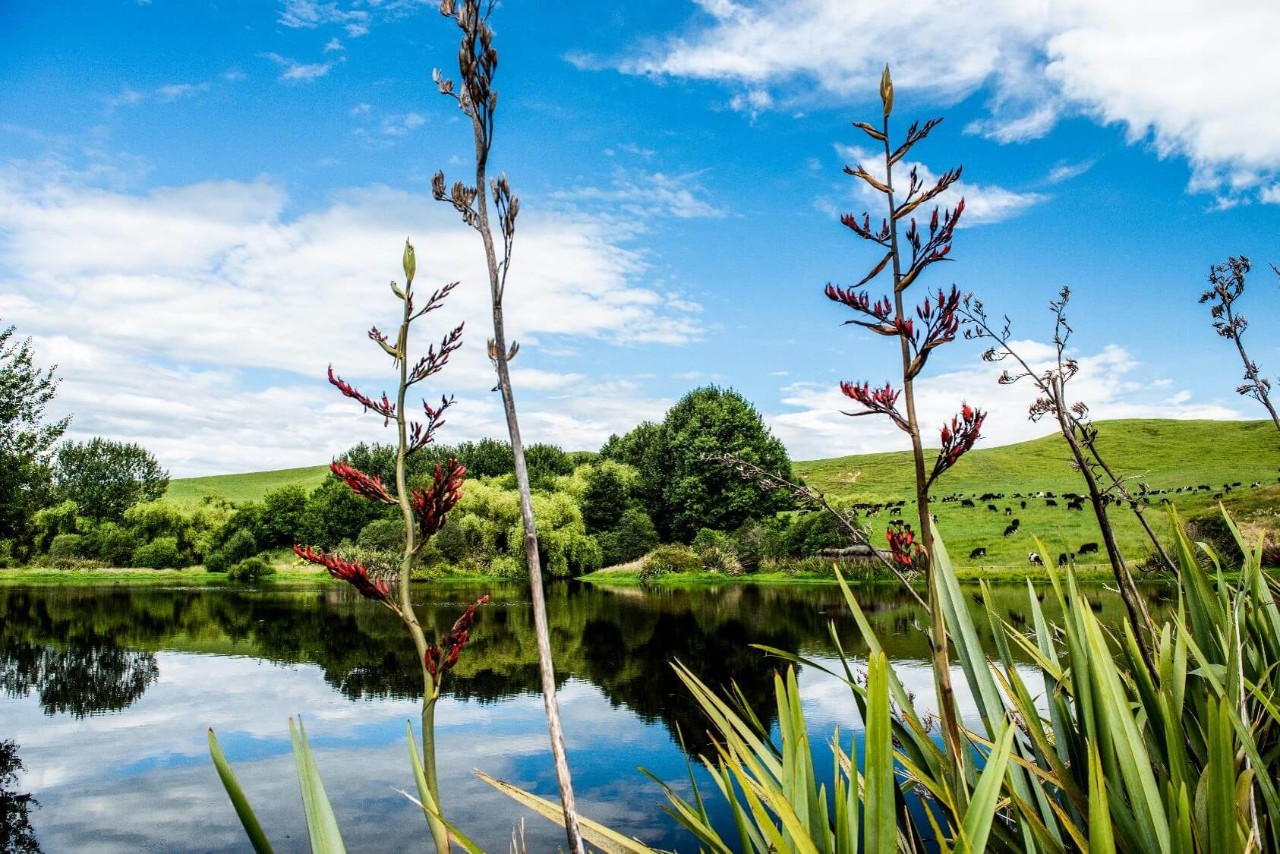 on-farm-waterway